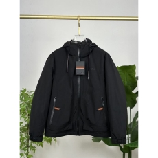 Zegna Down Jackets